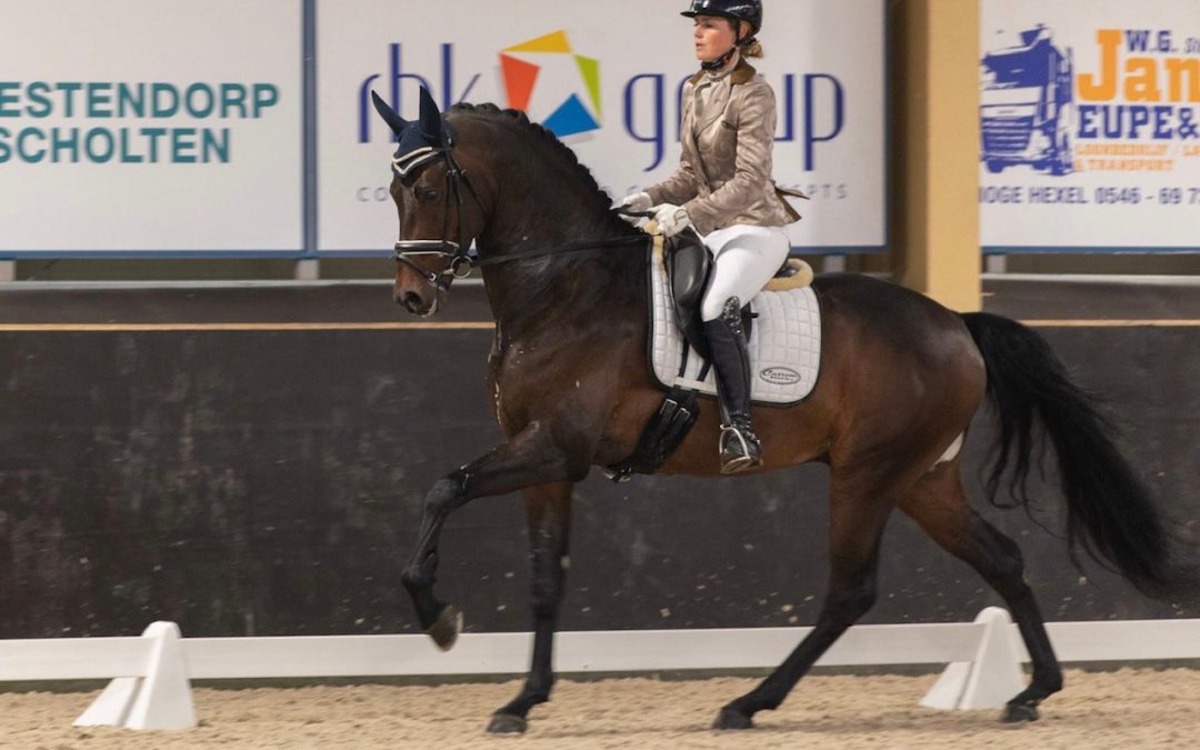 Mac Madison weer in de prijzen